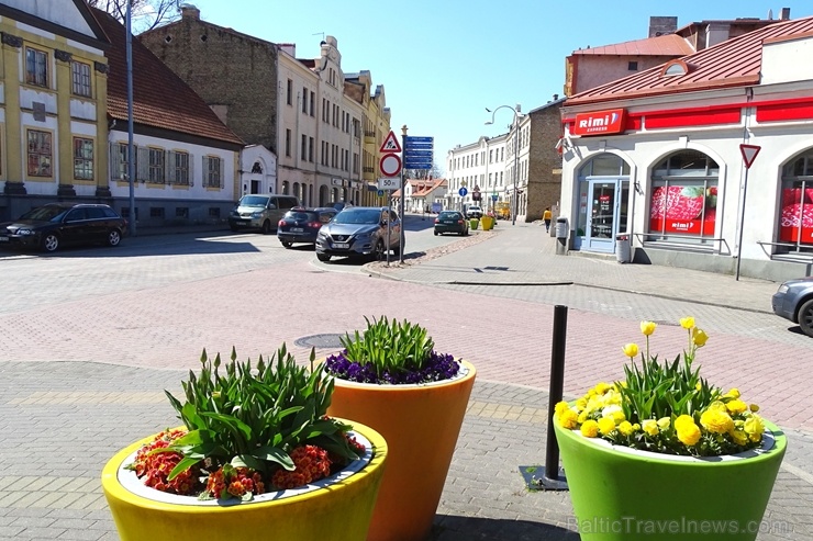 Ventspils ietērpta neskaitāmos pavasara ziedos 282492