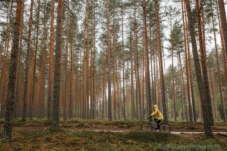 Valmieras TIC nomarķējis visu iemīļotā velo un kino festivāla Kinopedālis ainavisko 2019. gada Puspedāļa maršrutu 282624