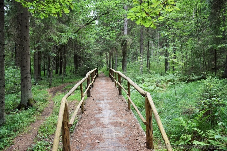 Valmieras TIC nomarķējis visu iemīļotā velo un kino festivāla Kinopedālis ainavisko 2019. gada Puspedāļa maršrutu 282625