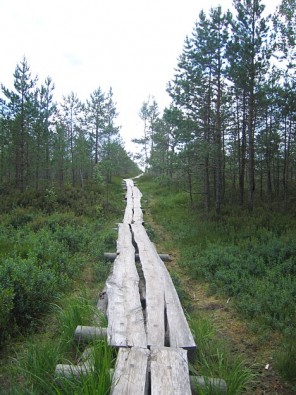 2,8 km garo laipu veido 900 apšu dēļi. Laipa tika izveidota 2000.gadā par Rozmarijas Ā. Smitas (Apvienotā Karaliste) dāvātajiem līdzekļiem 15274