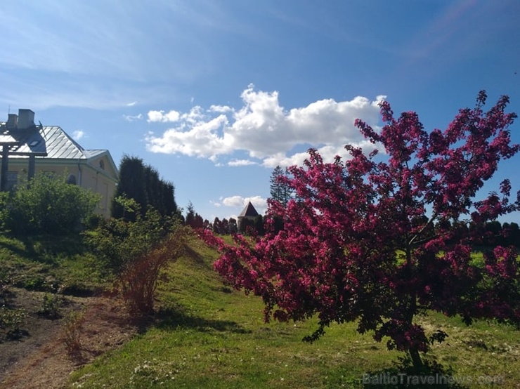 Bruknas muiža ieskauta krāšņos pavasara ziedos 283448