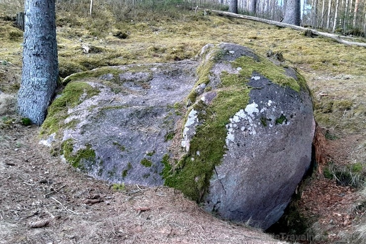 Veclaicenes dabas mājas Alūksnes  augstienē vilina ceļotajus un dabas draugus 283556