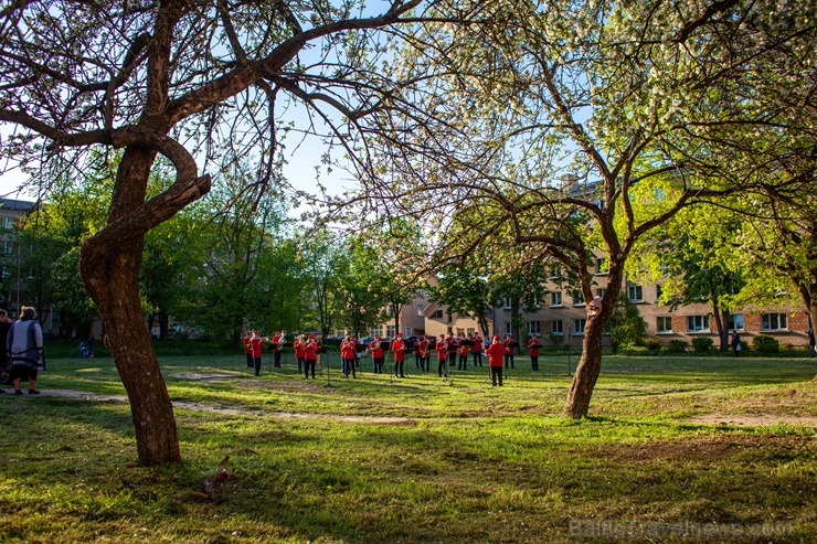 Rēzeknes pagalmos skan muzikāli pārsteigumi pilsētas iedzīvotājiem un viesiem 283542