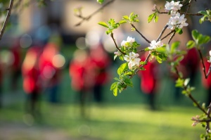 Rēzeknes pagalmos skan muzikāli pārsteigumi pilsētas iedzīvotājiem un viesiem 26