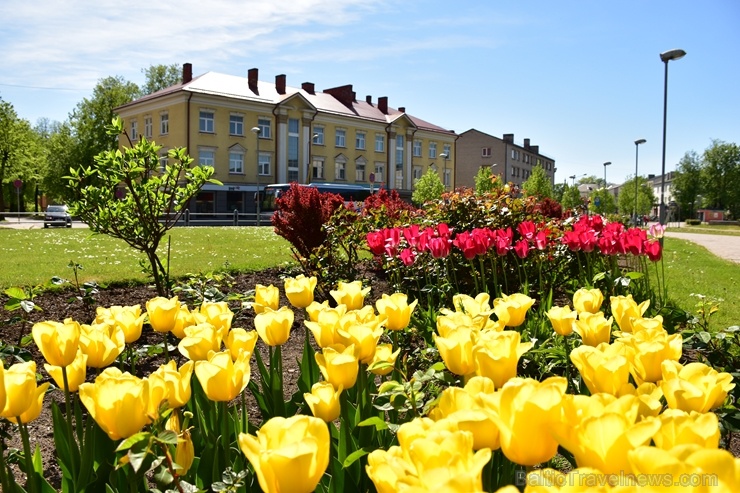 Valmiera sveicina vasaru, koši plaukstot un zaļojot 283619