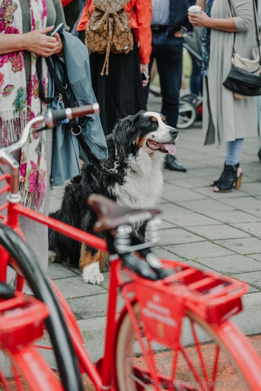 Siguldā atklāta Latvijā pirmā velo iela, kas darbojas kā pilotprojekts Siguldas kopējās satiksmes uzlabošanas koncepcijā 283956