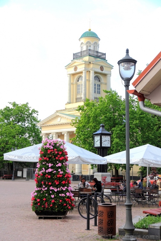 Ventspils vasarā krāšņi zied un žilbina acis 284455