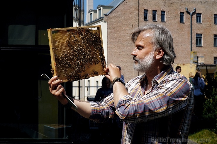 Veicinot zaļās domāšanas un ekoloģisko projektu attīstību pilsētā, uz Rīgas rātsnama 3. stāva āra terases izvietoti trīs bišu stropi 284599