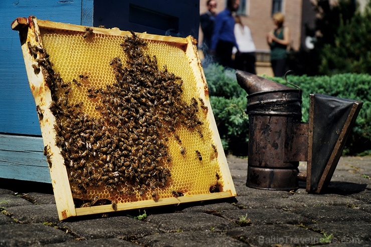 Veicinot zaļās domāšanas un ekoloģisko projektu attīstību pilsētā, uz Rīgas rātsnama 3. stāva āra terases izvietoti trīs bišu stropi 284600