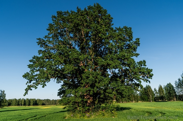 Balvu novadā iespējams baudīt mazpilsētas burvību un aktīvu atpūtu 286052