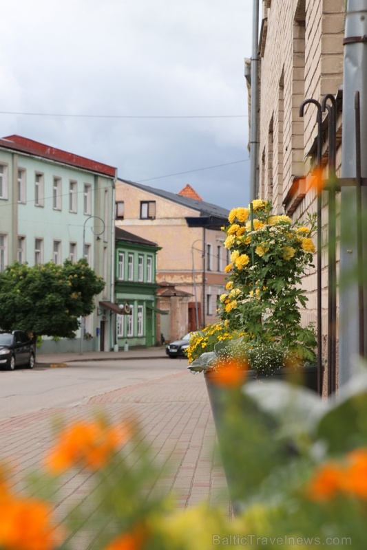 Krāšņā Tukuma rožu un ziedu pasaule ceļotājus apbur ik uz stūra 286841