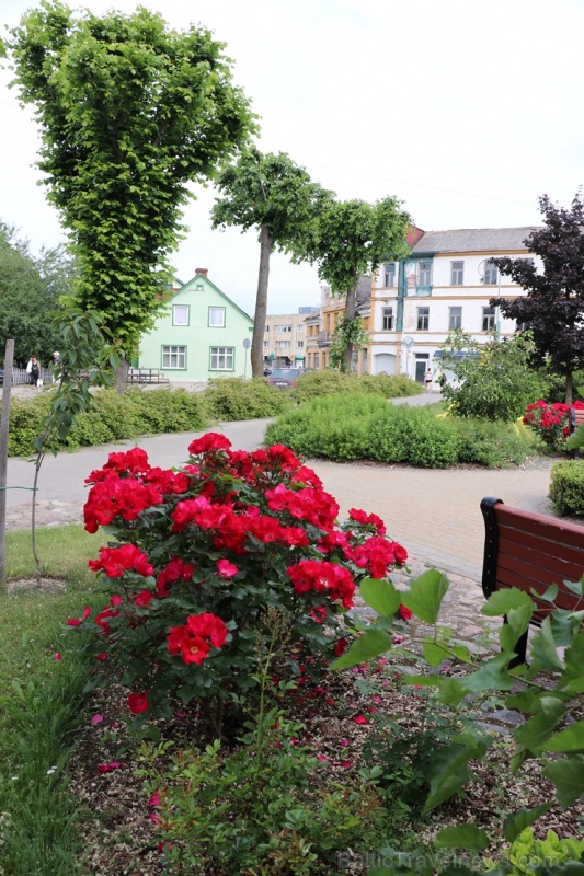 Krāšņā Tukuma rožu un ziedu pasaule ceļotājus apbur ik uz stūra 286843