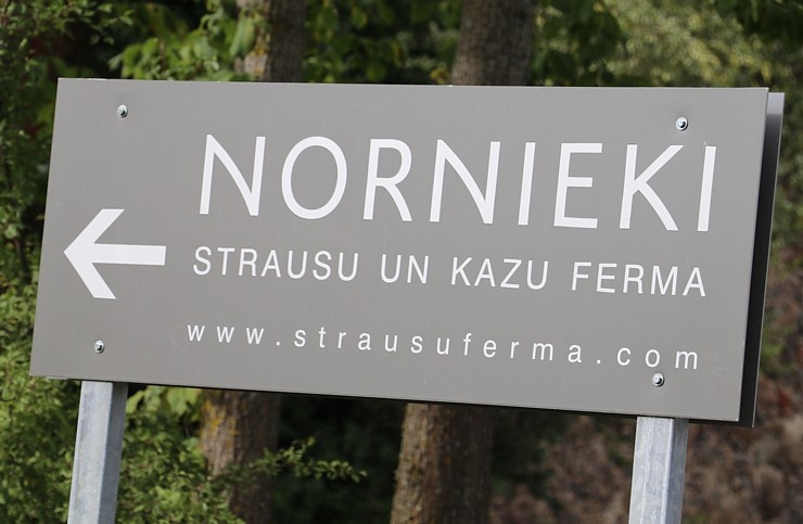 Travelnews.lv iepazīst, nogaršo un izbauda strausu un kazu fermas «Nornieki» viesmīlību Kuldīgas novadā 289484