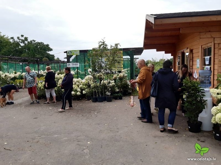 «Atvērtās dienas laukos», ko organizē lauku tūrisma asociācija Lauku ceļotājs ir lauku apceļošanas un iepazīšanas pasākums, kas jau kļuvis par tradīci 289546