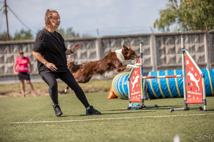 Starptautiskajās suņu sporta – adžiliti sacensībās 