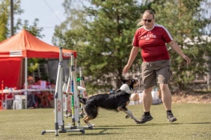 Starptautiskajās suņu sporta – adžiliti sacensībās 