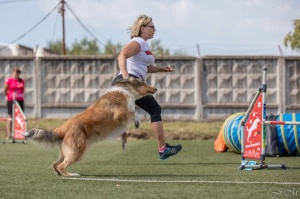 Suņu sporta - adžiliti sacensības «Rīgas Kauss 2020» pulcē dalībniekus no Baltijas valstīm 12