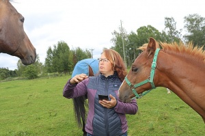 Travelnews.lv apmeklē zirgu stalli «Piķurgas» Salaspilī 2
