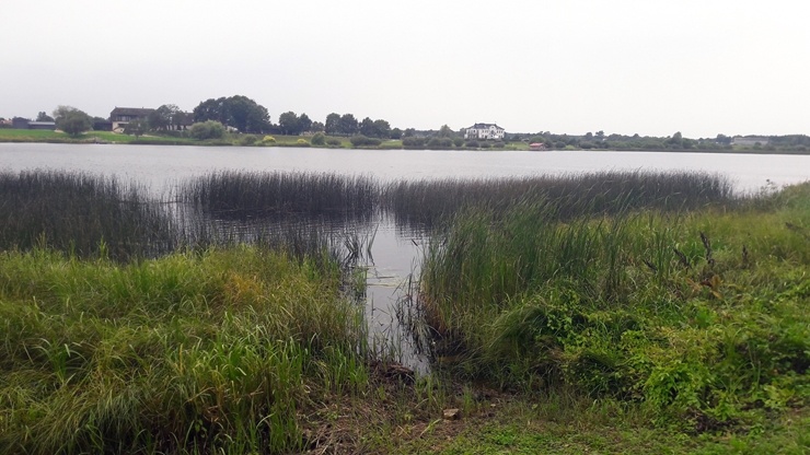 Salaspils novads iepazīstina Travelnews.lv lasītājus ar Doles tējām un Daugavas muzeju. Foto: Sintija Sondore, Laura Siliņa, Ieva Tumana 291067