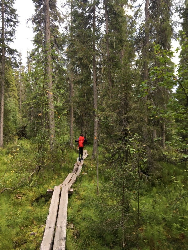 Kopā ar @suuntopulksteni.lv un @kidshike Travelnews.lv pieveic 102km populārākajā Somijas garo pārgājienu takā - Karhunkierros 291248