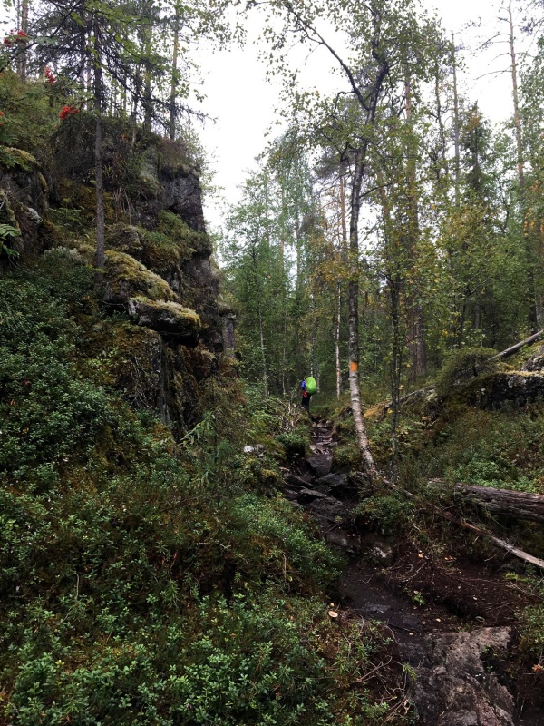 Kopā ar @suuntopulksteni.lv un @kidshike Travelnews.lv pieveic 102km populārākajā Somijas garo pārgājienu takā - Karhunkierros 291253