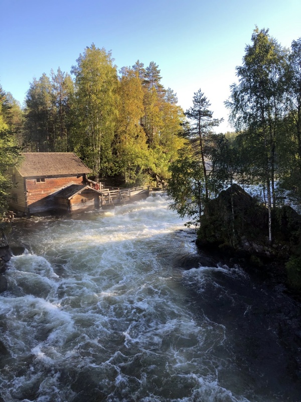 Kopā ar @suuntopulksteni.lv un @kidshike Travelnews.lv apmeklē populārs Myllykoski dzirnavas 291258