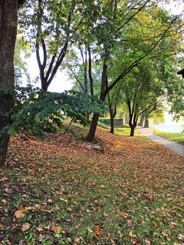 Krāšņā rudens ota pamazām iekrāso Valmieru 291377