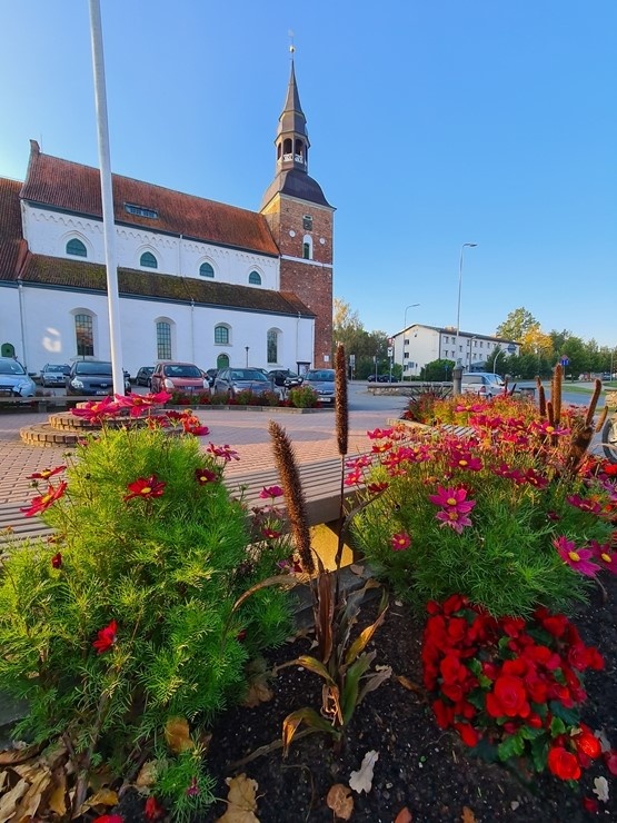 Krāšņā rudens ota pamazām iekrāso Valmieru 291440