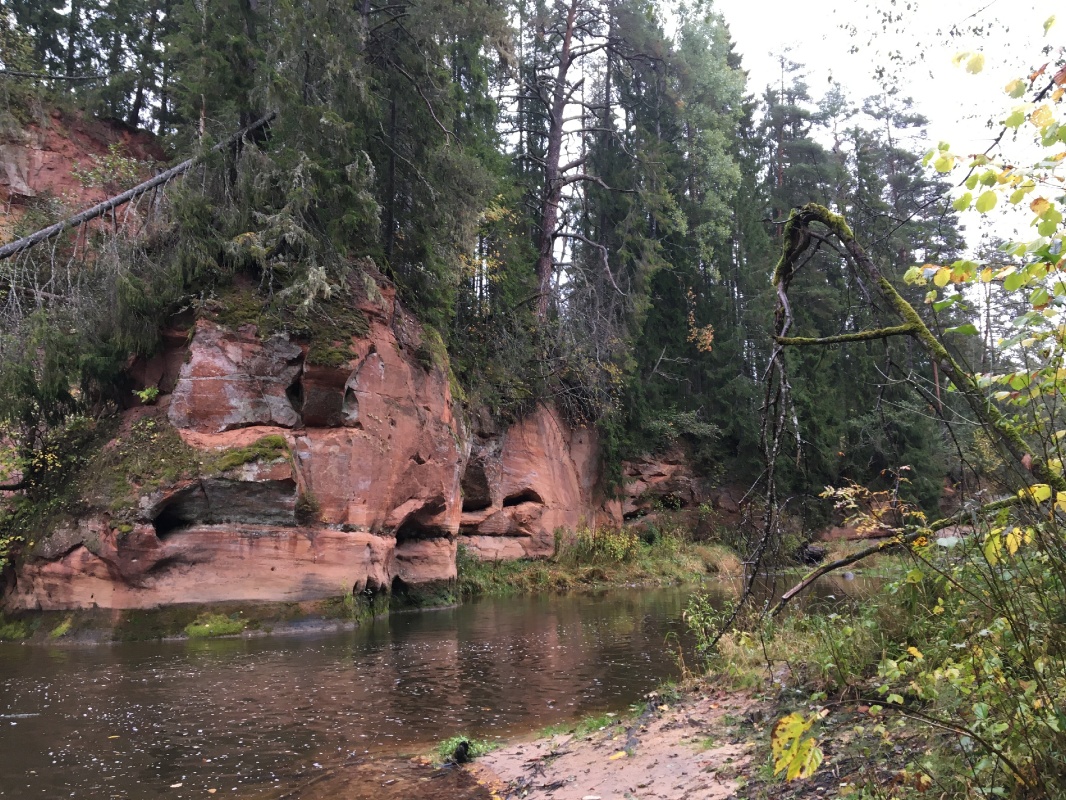 Mežtakas kopējā maršruta garums ir  ~1060 km (~ 1,3 milj. soļu), no tiek Latvijā – 335 km. Lielāka maršruta daļa Latvijā (60%) ved pa meža ceļiem un t 293219