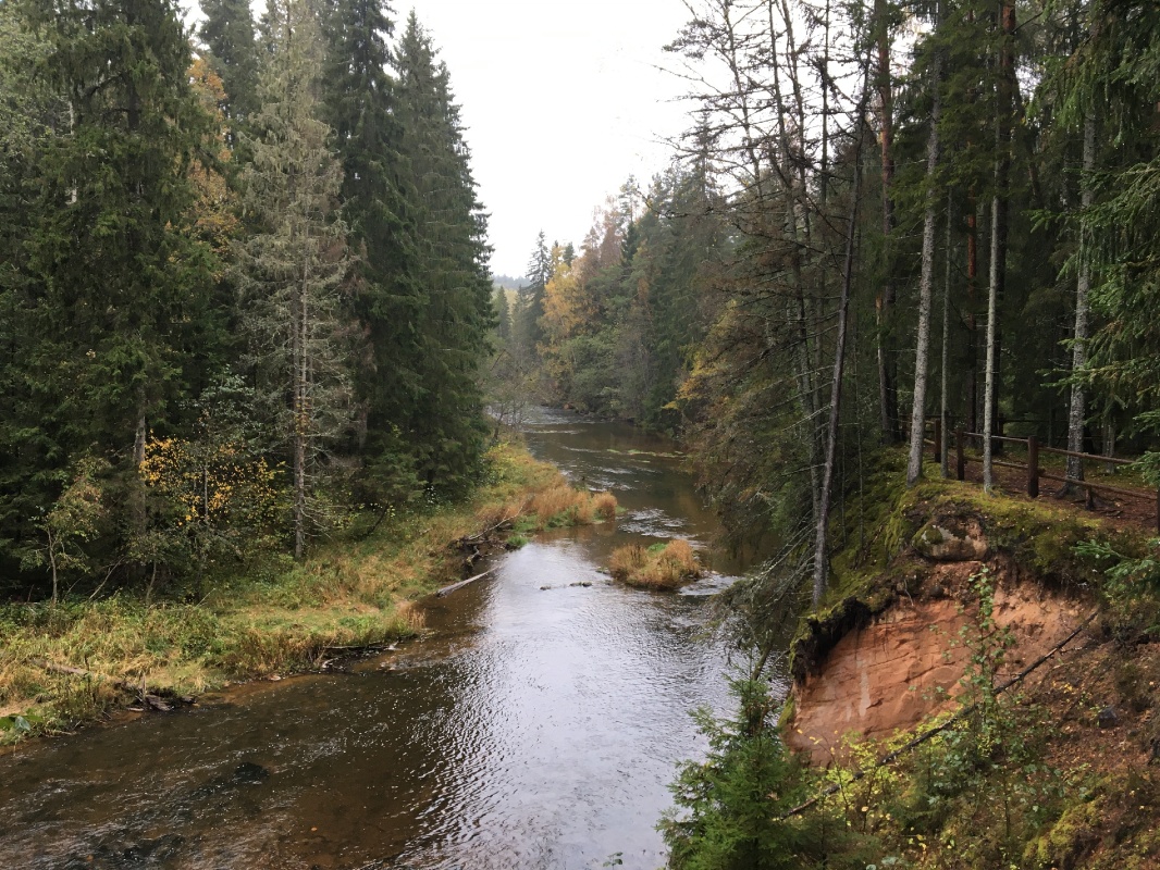 Mežtakas augstākā vieta (~ 256 m vjl.) atrodas Lielā Munameģa piekājē. Otra augstākā vieta ir Drusku pilskalns (246 m vjl.). Lielais Munameģis (318 m  293223