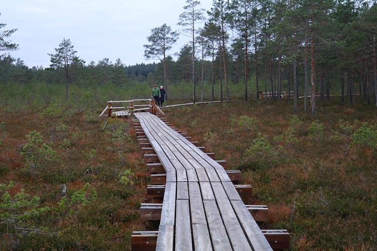 Travelnews.lv iepazīst jauno «Lielo Kangaru» taku 293413