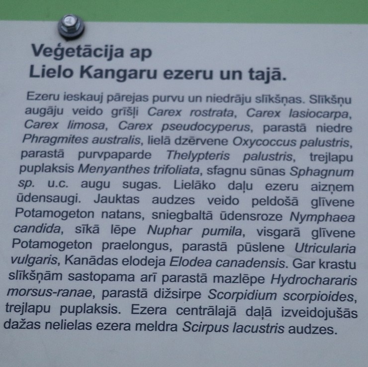 Travelnews.lv iepazīst jauno «Lielo Kangaru» taku 293433