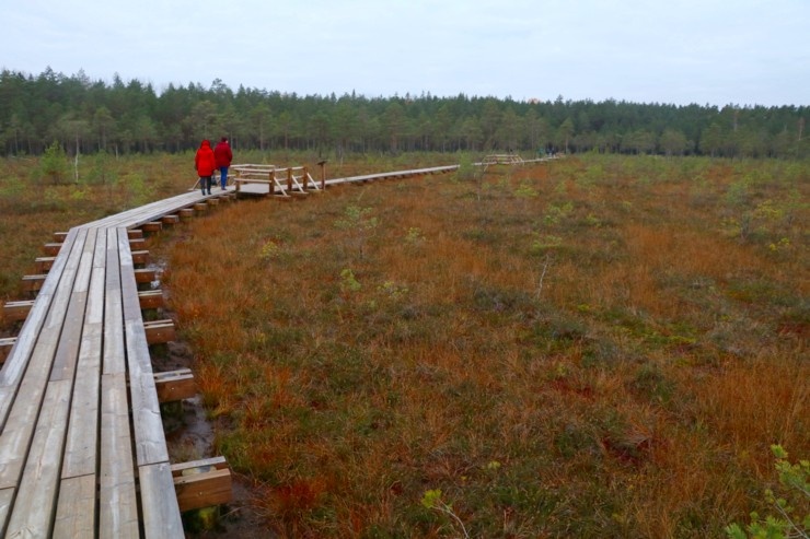 Travelnews.lv iepazīst jauno «Lielo Kangaru» taku 293436