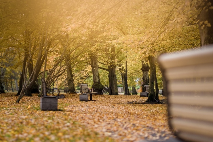 Vēju pilsēta Liepāja  ietērpjas rudens krāsās. Foto: Kārlis Volkovskis 293667