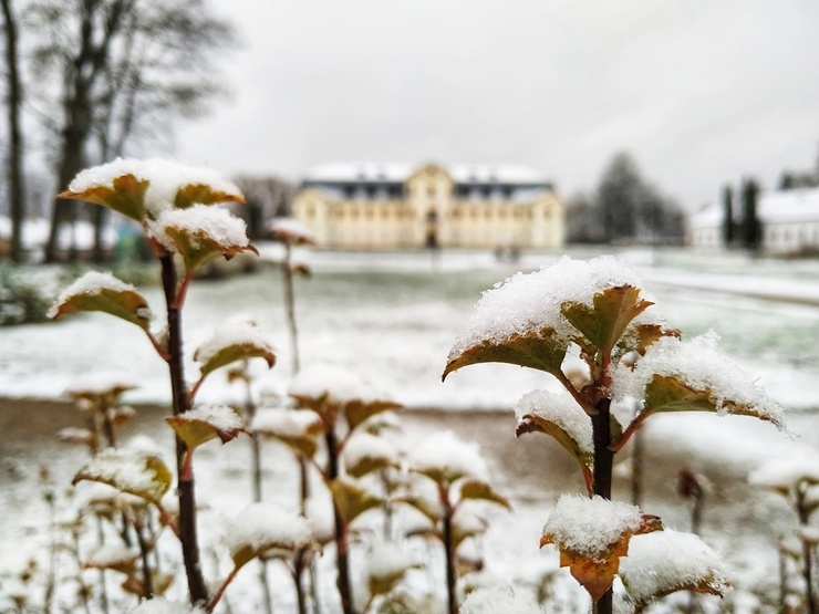 Krāslava  ietinas baltā sniega rotā. Foto: Inga Pudnika 294570