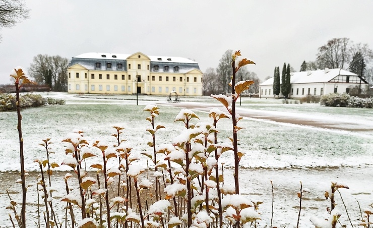 Krāslava  ietinas baltā sniega rotā. Foto: Inga Pudnika 294571