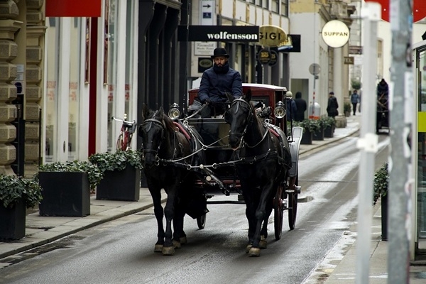Vīnes vēsturiskais centrs – Eiropas kultūras un mūzikas sirds