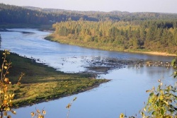 Daugavas vārti TAKA