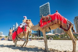 Apvienotie Arābu Emirāti Estravel Latvia